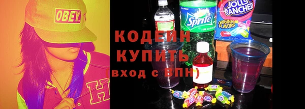 гидра Надым