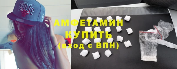 гидра Надым