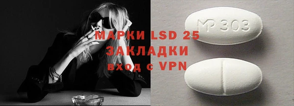 гидра Надым