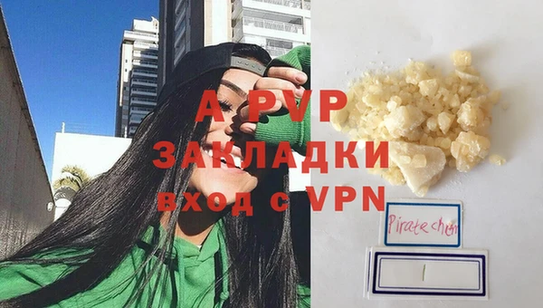 гидра Надым