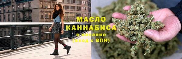 гидра Надым