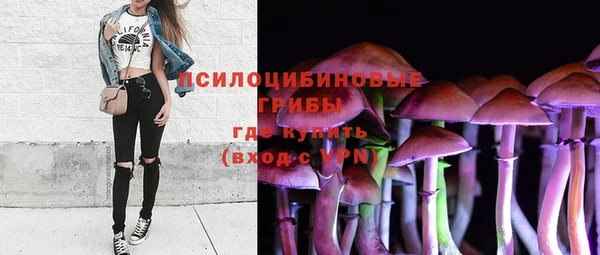 гидра Надым