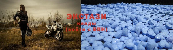 гидра Надым